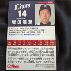 今！【増田達至　ますだたつし】野球カード