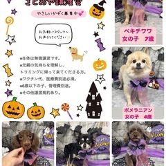 9月29日ららん藤岡　里親譲渡会