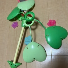 プーメリの画像