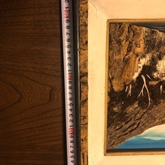 立体的な絵の画像