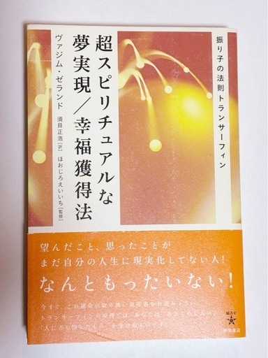 リアリティ・トランサーフィン日本語訳4巻セット