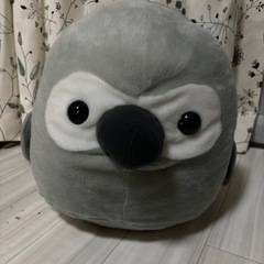 ヨウム&オカメインコ特大ぬいぐるみもらってください