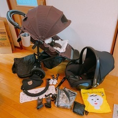 エアバギーココブレーキトラベルシステム配達OK【芸能人御用達！総...