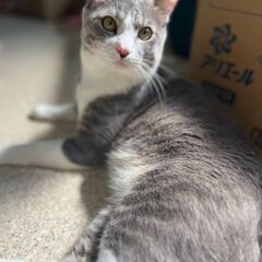 とっても！飼いやすい子なので単身者、高齢者可です。