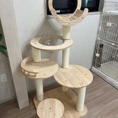 キャットタワー