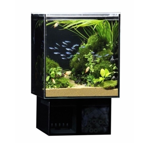 オーバーフロー水槽