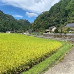 大分県産頑固おやじの美味しいお米(ひとめぼれ新米)5キロ