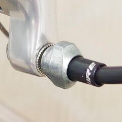 🔥 DE ROSA TEAM 🔥の画像