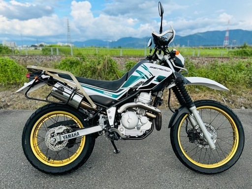 ★セロ250★YAMAHA SEROW ヤマハ セロー 250 DG17J FI インジェクション車 10698km ( TW WR KDX KLX WR XR XL)