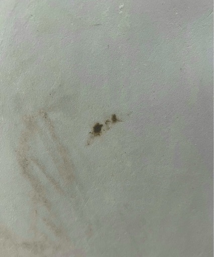 ソフテック 7.0ft サーフボード　ソフト