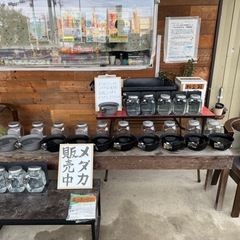 メダカ無人販売　質問用投稿