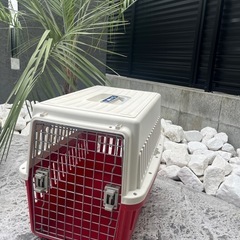 【取り引き中】エアトラベルキャリー中型犬用の画像