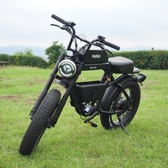 電動アシスト自転車YADEA(ヤディア)TRP-01の画像