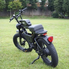 電動アシスト自転車YADEA(ヤディア)TRP-01の画像
