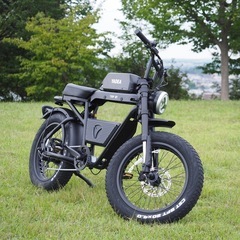 電動アシスト自転車YADEA(ヤディア)TRP-01の画像