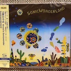 上原ひろみ　Sonicwonderland クリアファイル付き
