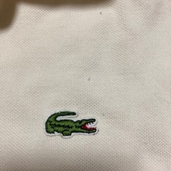 LACOSTEの画像