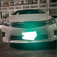 サイの画像