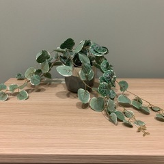 フェイクグリーン　観葉植物　9