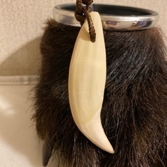 ヒグマ　牙　ネックレスの画像