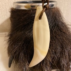 ヒグマ　牙　ネックレスの画像