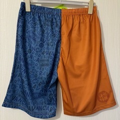 【水曜どうでしょう】キャラバンハーフパンツ XL