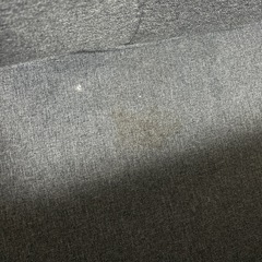 【〜11/4まで急ぎ募集】ニトリ　リクライニングソファベットの画像