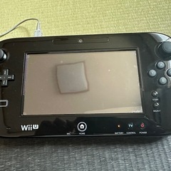 Nintendo wiiU