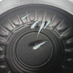 9/29めだか販売の画像