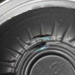 9/29めだか販売の画像