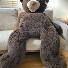 コストコ　くま　135cm