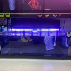 1200アクリル水槽一式