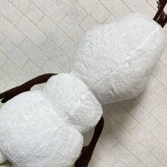 、の画像