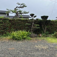 お庭の剪定作業