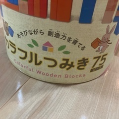 75ピース　積み木　ケース付の画像