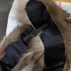 リアルファー　マフラーの画像