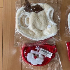 ワンチャンの仮装コスプレの画像