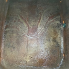 100円にします。FRPタンク　金魚は飼えません！の画像