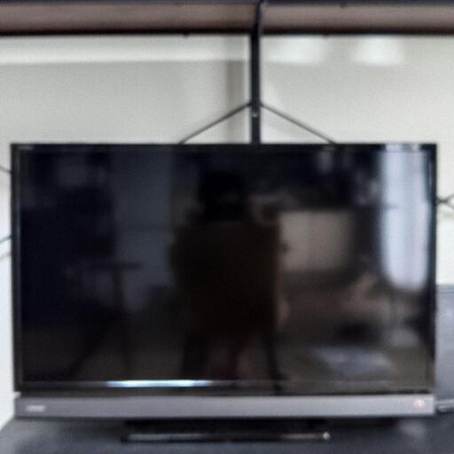 液晶テレビ　REGZA録画用外付けHD付