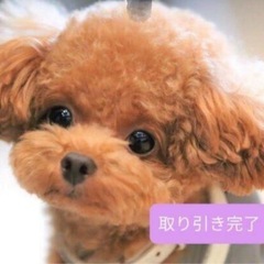 ニトリの組み合わせ学習机のサイドラック