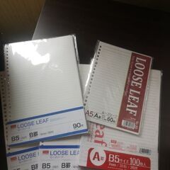 ルーズリーフ 約350円分