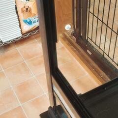 爬虫類用ケース(鍵付き)の画像