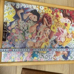 ディズニープリンセス&トトロ　パズルハーフカットの画像