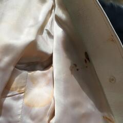 １００円ラビットコートの画像