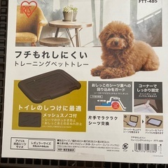 新品未使用　トレーニングペットトレーの画像