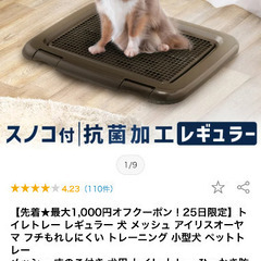 新品未使用　トレーニングペットトレーの画像