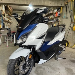 (値下)HONDAフォルツァ250(MF15)の画像