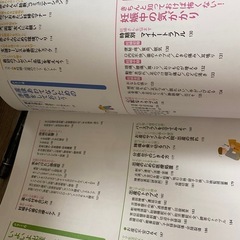 はじめての妊娠・出産事典の画像