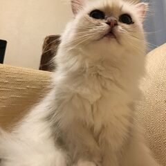よい出会いがありました、ありがとうございます。