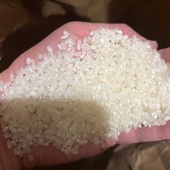 問い合わせがあまりにも多くラスト1袋　令和5年　キヌヒカリ 5キロ 京都府産　白米の画像